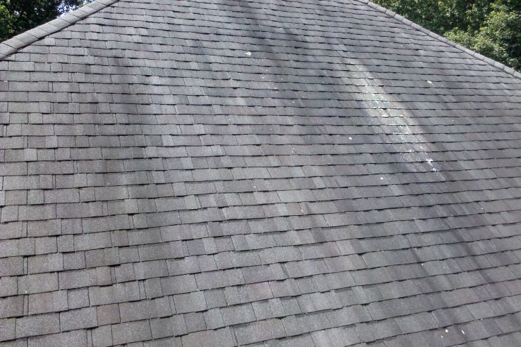 Removing Roof Mold From Your Michigan Home